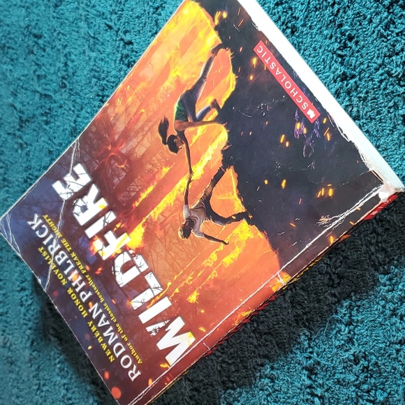 Wildfire - Picture 3 of 4